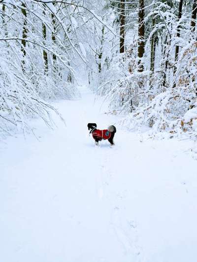 55. Handy Foto Challenge - von hinten, Blick in die Ferne-Beitrag-Bild