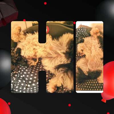 20. Collagen Challenge - "Lustige Schnappschüsse"-Beitrag-Bild