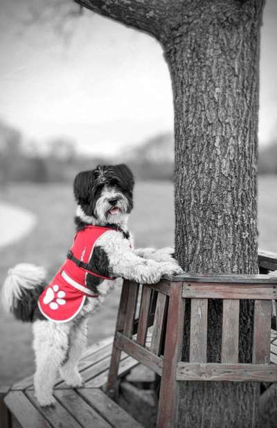 6. Farben Foto Challenge: "ColourKey Effekt"-Beitrag-Bild