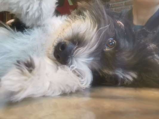 22. Handy Foto - Challenge-Beitrag-Bild