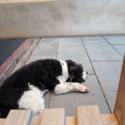 Was hat euch heute gefreut?-Beitrag-Bild