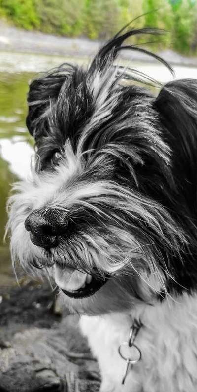 Photoshop und Co.-Beitrag-Bild