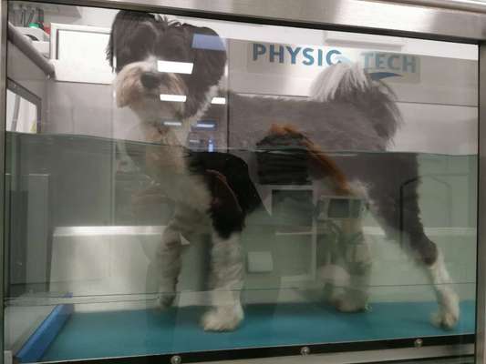 120. Fotochallenge-Beitrag-Bild