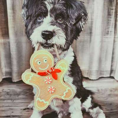 Was hat euch heute gefreut?-Beitrag-Bild