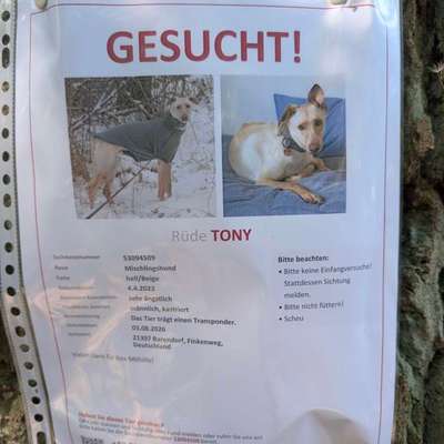 Suchmeldung-Tony-Bild
