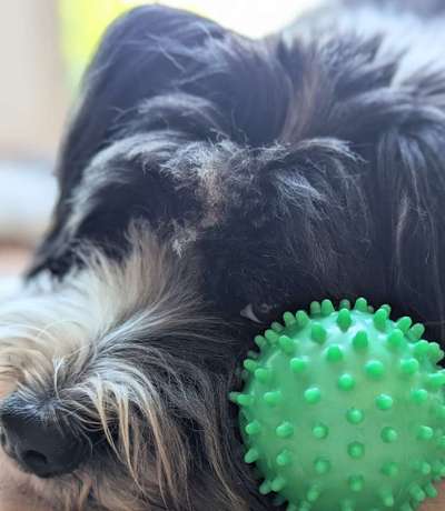 138. Fotochallenge 

(M)Ein Ball und ich-Beitrag-Bild