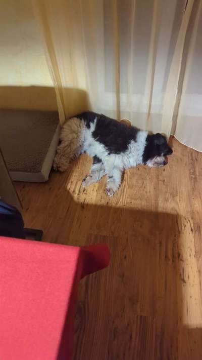 Was hat euch heute gefreut?-Beitrag-Bild