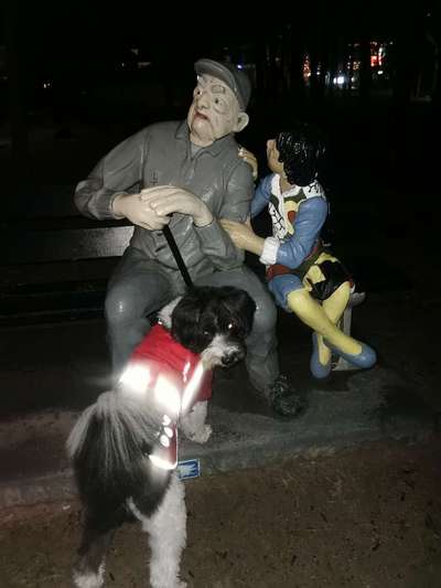 31. Collagen Challenge - Bänke/ Steine /Baumstümpfe-Beitrag-Bild