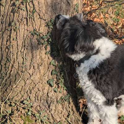 Was hat euch heute gefreut?-Beitrag-Bild