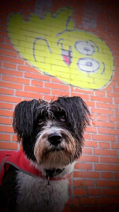 "Die eingefangene Magie des Augenblicks"-Beitrag-Bild