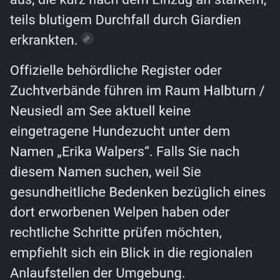 Giardien bei Welpen-Beitrag-Bild