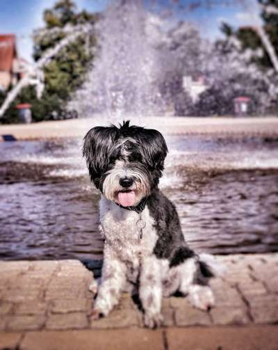 Fotochallenge Glanzbilder,du glänzt so schön-Beitrag-Bild