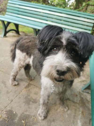 Fotochallenge 113: Auf frsicher Tat ertappt-Beitrag-Bild