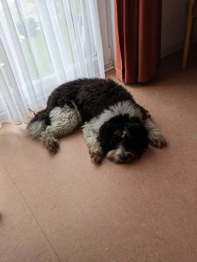 Was hat euch heute gefreut?-Beitrag-Bild