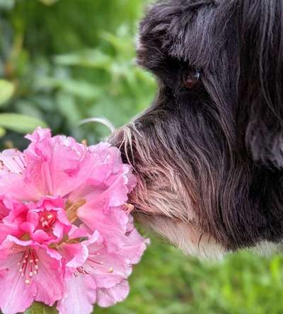 17. Farben Foto Challenge: Pastellfarben-Beitrag-Bild