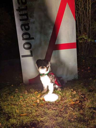 Was hat euch heute gefreut?-Beitrag-Bild