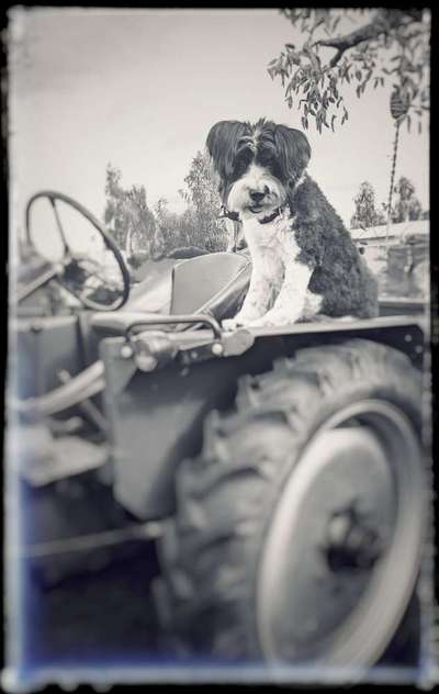 Was hat euch heute gefreut?-Beitrag-Bild