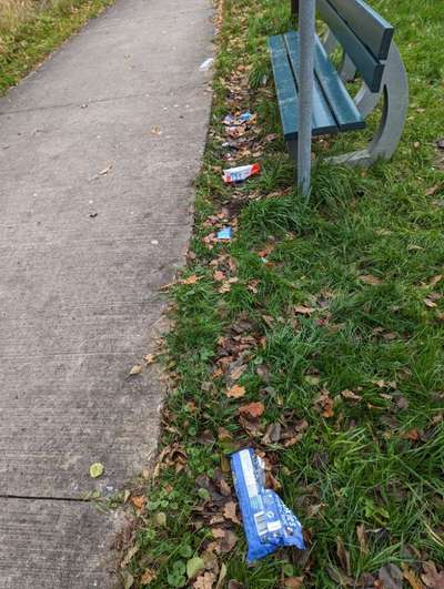 Challenge – Gassi & Clean-Beitrag-Bild