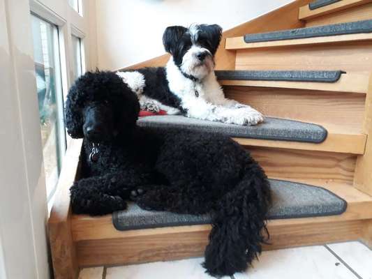 Foto Challenge Nr.: 115-Beitrag-Bild