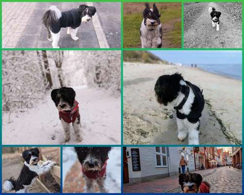 30. Collagen Challenge - Wege/Straßen-Beitrag-Bild