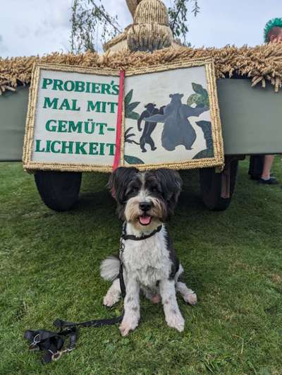 FOTO CHALLENGE Thema ,,durchdrehen"-Beitrag-Bild