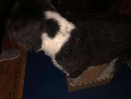 Trick-Challenge Nr.26 Quetschen-Beitrag-Bild