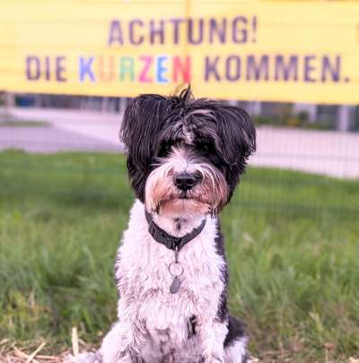 24. Farben Fotochallenge / Regenbogenfarben oder so bunt wie möglich!-Beitrag-Bild
