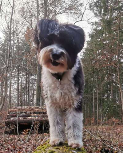 Das beste grinsefoto-Beitrag-Bild