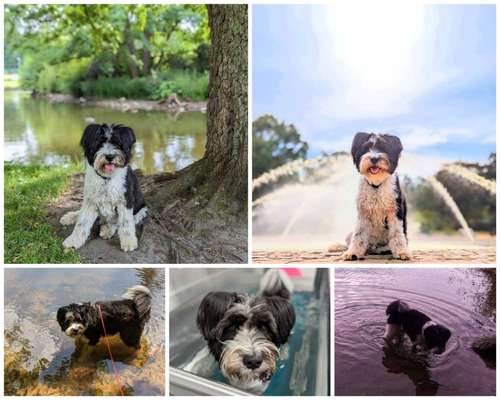 Eure schönsten Fotos mit Wasser-Beitrag-Bild