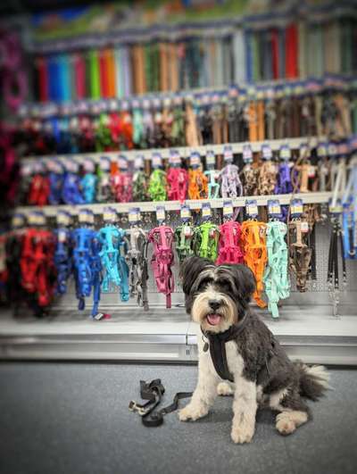 32. Farben Challenge  ** ( BUNTE ) STREIFEN **-Beitrag-Bild