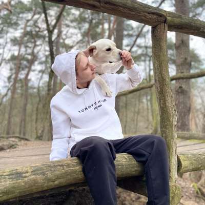 Hundetreffen-Spielerunde in Blankenfelde