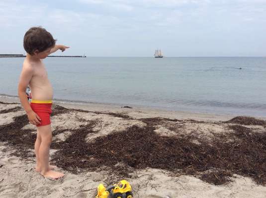 Urlaub Dänemark-Beitrag-Bild