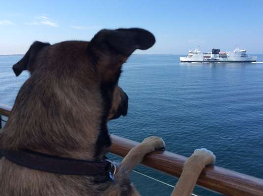 Urlaub Dänemark-Beitrag-Bild