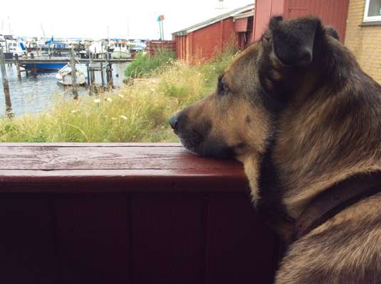 Urlaub Dänemark-Beitrag-Bild