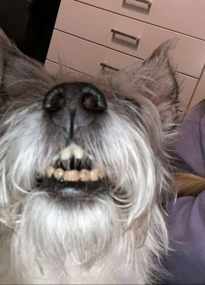 42. Handy Fotochallenge - Den richtigen Riecher haben-Beitrag-Bild