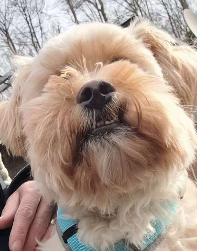 42. Handy Fotochallenge - Den richtigen Riecher haben-Beitrag-Bild