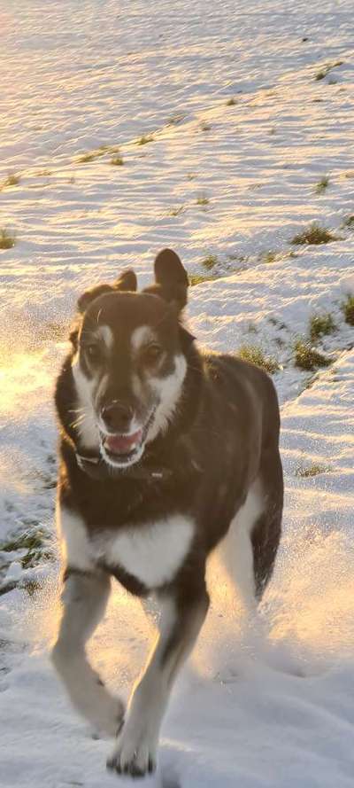 Fotowettbewerb zum Thema "Sonne"-Beitrag-Bild