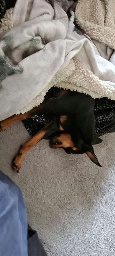 Moviestar-Pics!-Beitrag-Bild