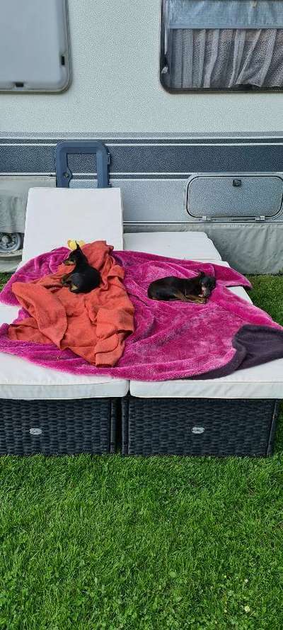 Prager Rattler-Beitrag-Bild