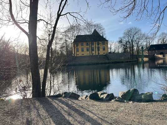 Hundeauslaufgebiet-Burgauer Wald-Bild