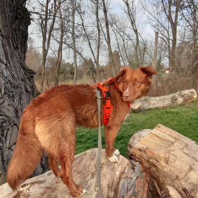 Bibiane's Profilbild