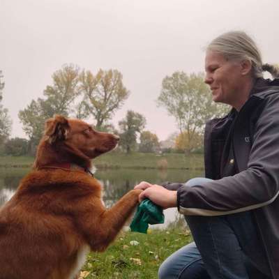 Hundetreffen-Gemeinsam Aktiv mit Hund-Bild