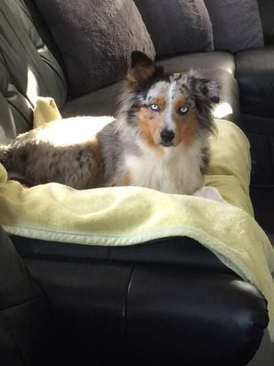 Fotochallange Nr. 57     PORTRÄT.   Beendet!!!!!!!!-Beitrag-Bild