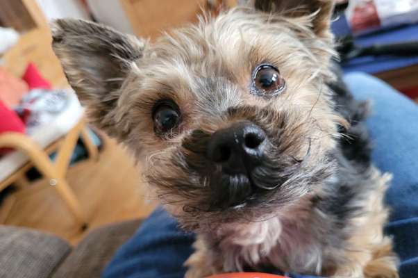 Fotochallenge Glanzbilder,du glänzt so schön-Beitrag-Bild