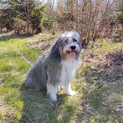 Gibts hier Mioritic Besitzer?-Beitrag-Bild