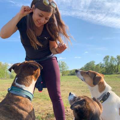 Hundetreffen-Gassirunde Hornburg (Feldmark) / Spielerunde-Profilbild