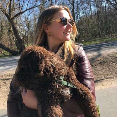 Hundetreffen-Welpentreff Detmold-Profilbild