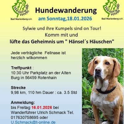 Hundetreffen-Hundewanderung-Bild