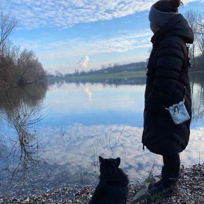 Hundetreffen-Gassidates am Rhein Theodor Heuss Brücke ☺️-Bild