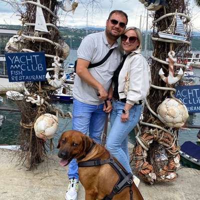 Hundetreffen-Spielrunde um Gaildorf